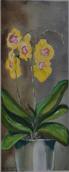 Yellow Orchid in Bloom by Lin Beribak